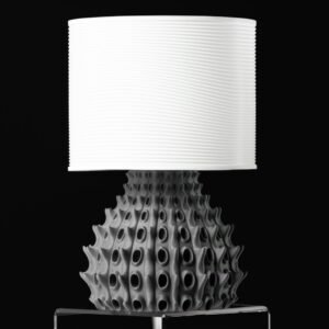 Burnacle galda lampa