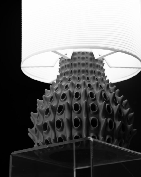 Burnacle galda lampa - Image 5