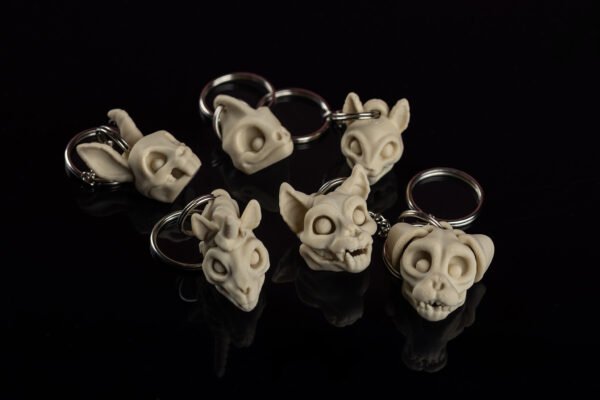 Skeleton Keychain - Tu neesi pūlis! Tu ESI īpašs! - Image 14