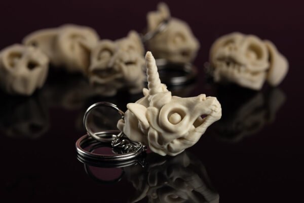 Skeleton Keychain - Tu neesi pūlis! Tu ESI īpašs! - Image 13