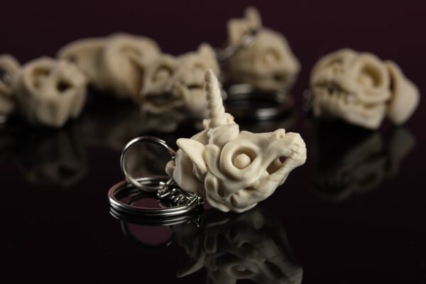 Skeleton Keychain - Tu neesi pūlis! Tu ESI īpašs! - Image 12