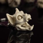 Skeleton Keychain - Tu neesi pūlis! Tu ESI īpašs! - Kaķis, Bēša (kaulu)