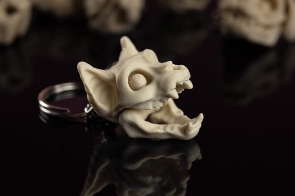 Skeleton Keychain - Tu neesi pūlis! Tu ESI īpašs! - Image 11