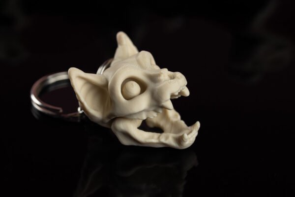 Skeleton Keychain - Tu neesi pūlis! Tu ESI īpašs! - Image 10