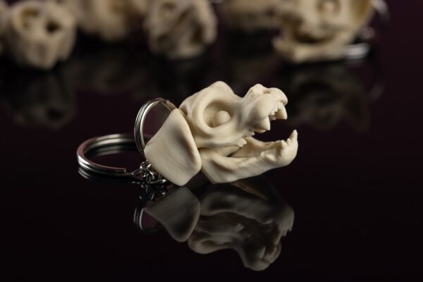 Skeleton Keychain - Tu neesi pūlis! Tu ESI īpašs! - Image 7