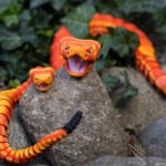 Klaburčūska - 68cm