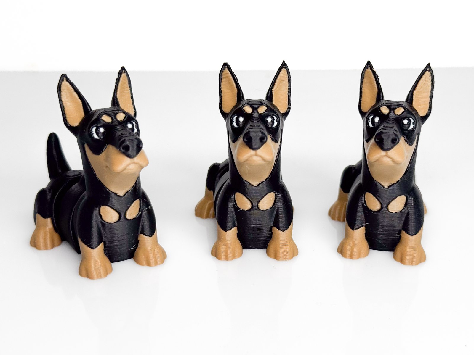 Dobermanis - Image 2