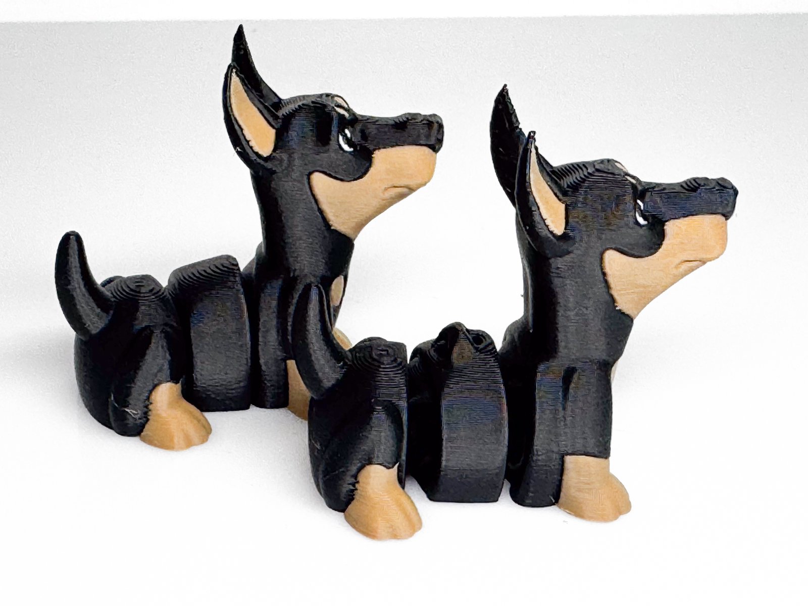 Dobermanis - Image 3