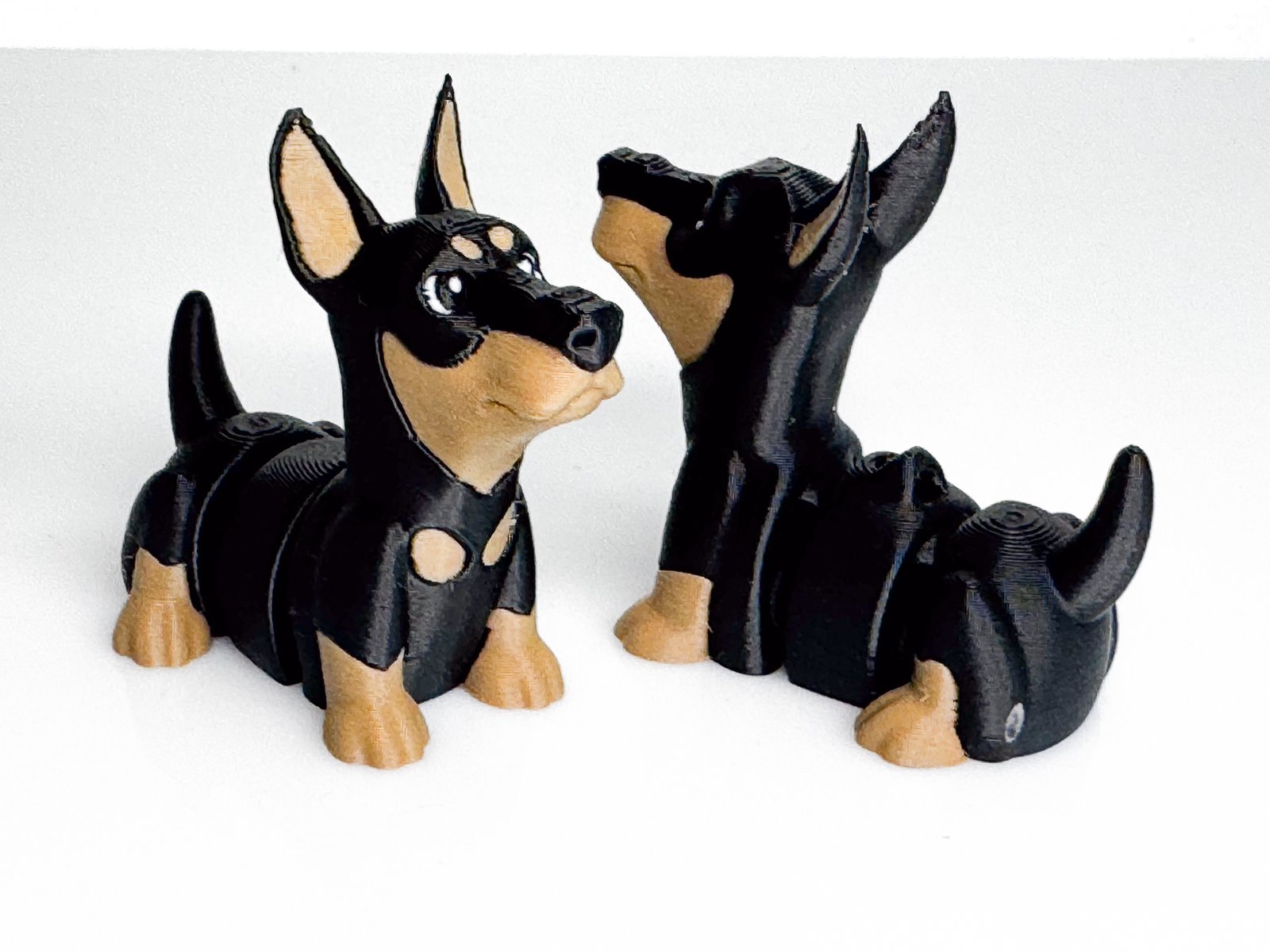 Dobermanis - Image 4