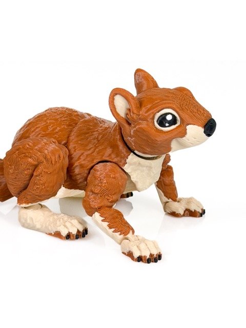 Liela vāvere - Image 4