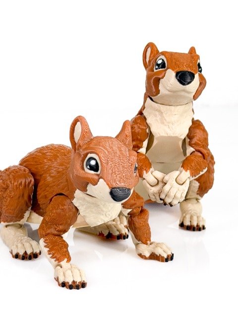 Liela vāvere - Image 3