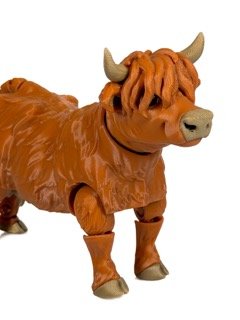 Liels bifelis (bufalo) - Image 4