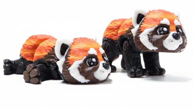 Sarkanā panda - Image 3