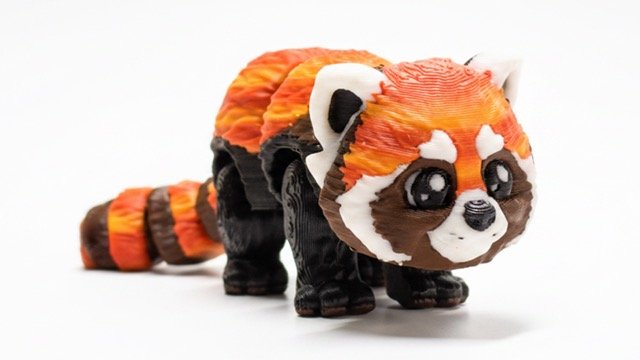 Sarkanā panda - Image 4