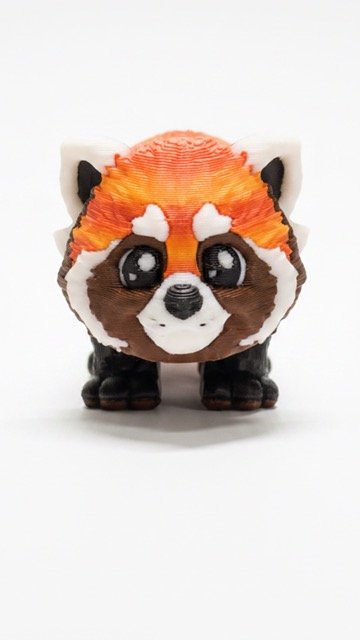 Sarkanā panda - Image 5